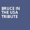 Bruce In The USA Tribute, Aura, Portland